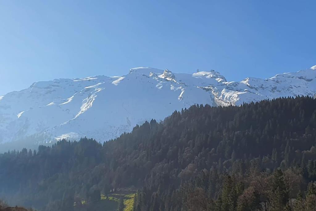 Tannenboden Lejlighed Engelberg Eksteriør billede