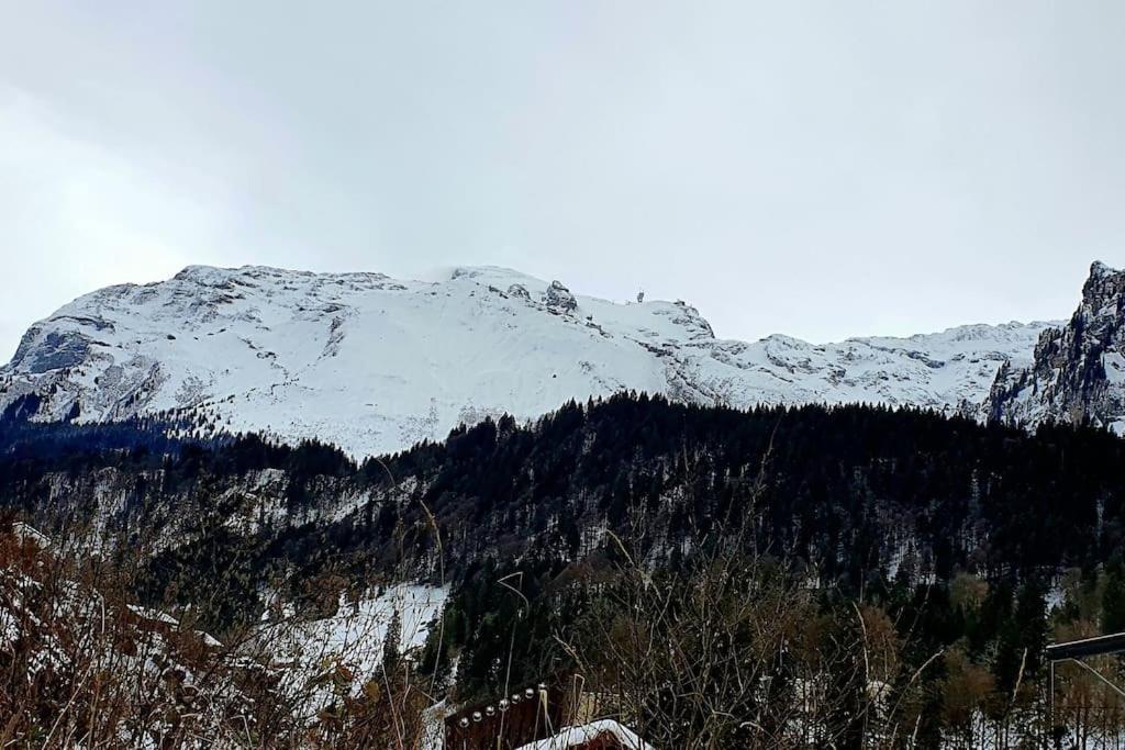 Tannenboden Lejlighed Engelberg Eksteriør billede